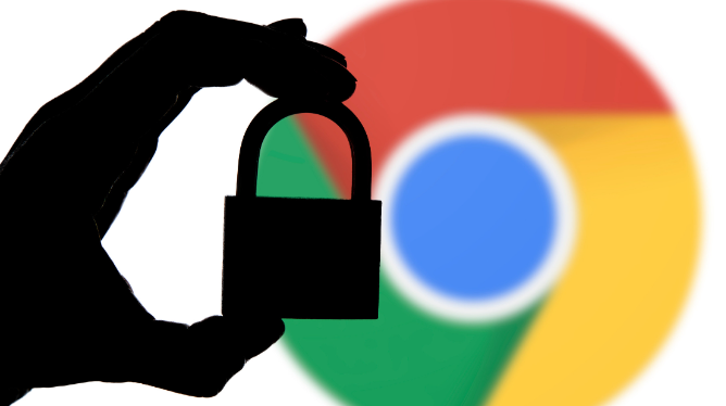 google浏览器隐私保护功能使用指南