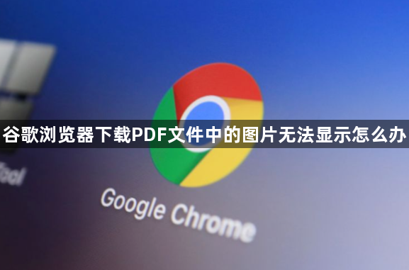 谷歌浏览器下载PDF文件中的图片无法显示怎么办1
