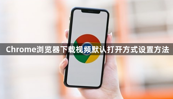 Chrome浏览器下载视频默认打开方式设置方法1