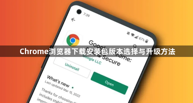 Chrome浏览器下载安装包版本选择与升级方法1
