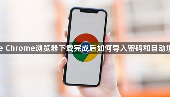 Google Chrome浏览器下载完成后如何导入密码和自动填充数据1