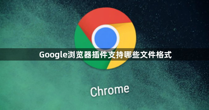 Google浏览器插件支持哪些文件格式1