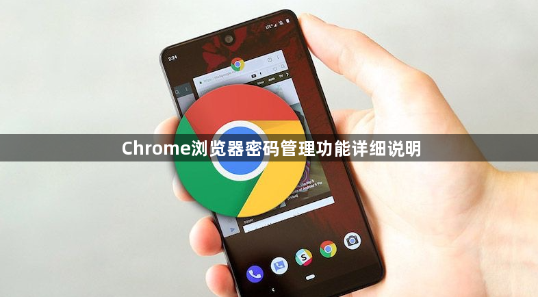 Chrome浏览器密码管理功能详细说明1