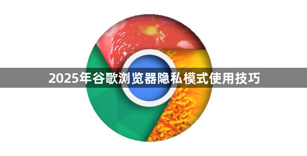 2025年谷歌浏览器隐私模式使用技巧1