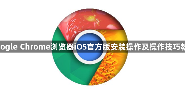 google Chrome浏览器iOS官方版安装操作及操作技巧教程1