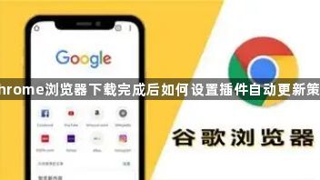 Chrome浏览器下载完成后如何设置插件自动更新策略1